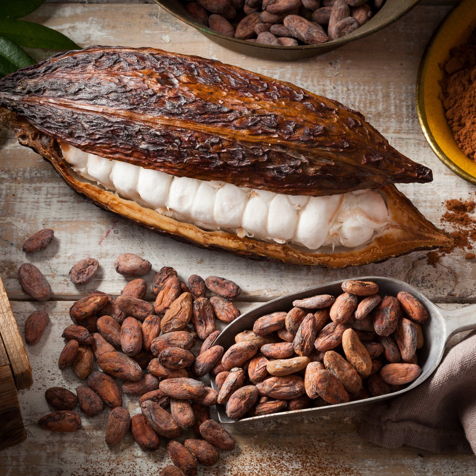 Fresh Cacao Exotic Fruit from St Lucia | Cacao Pod / Chocolate Fruit | 1kg - Image 3